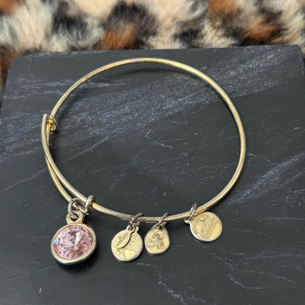Alex & Ani Charm Bracelets Lot of 8 - 2012 2013 2015 - Picture 5 of 16